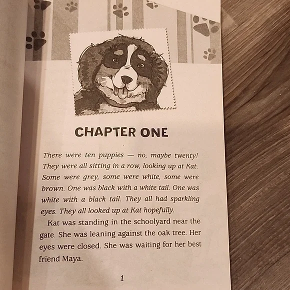 Novels - Picture 7 of 7